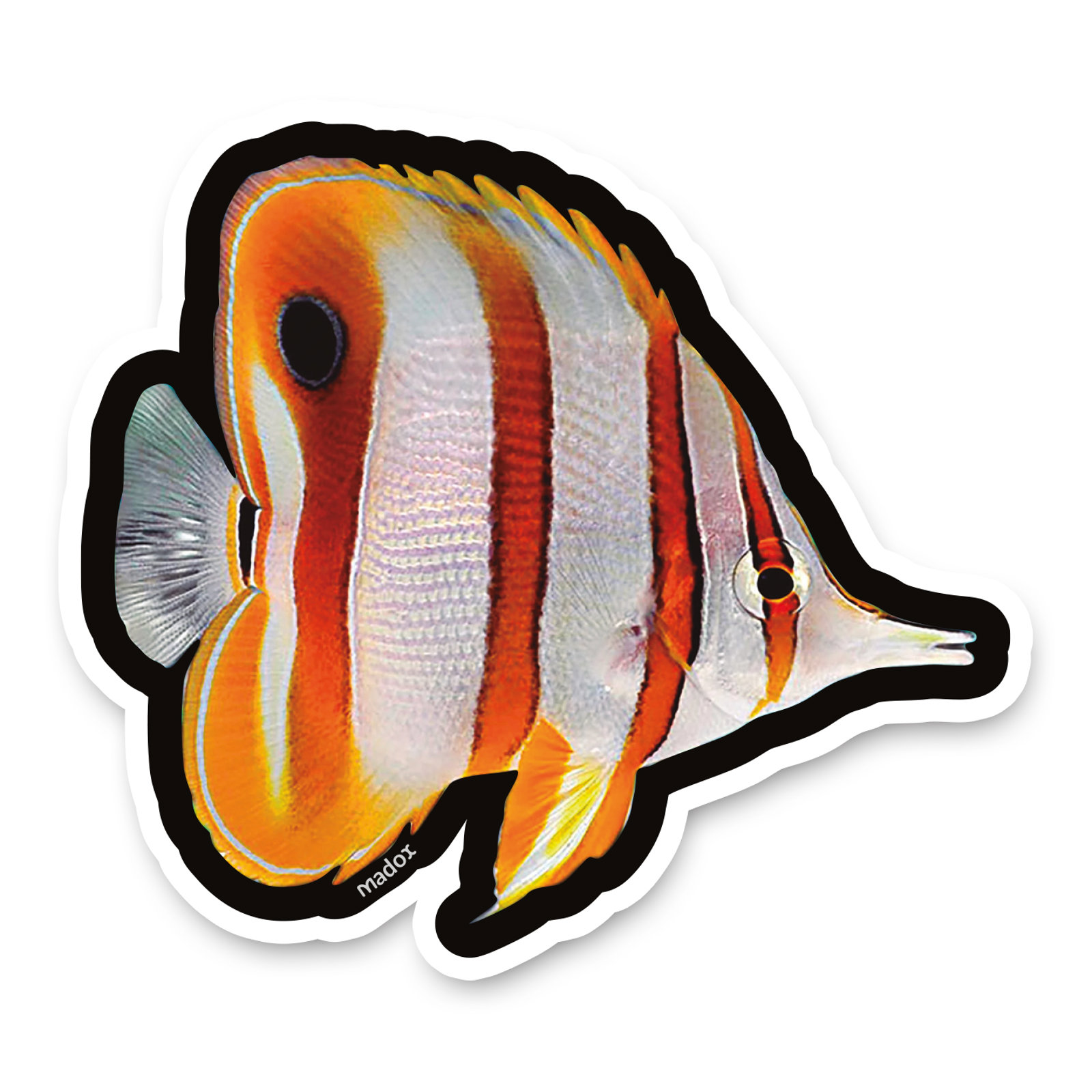 Sticker Mariposa Bandas de Cobre