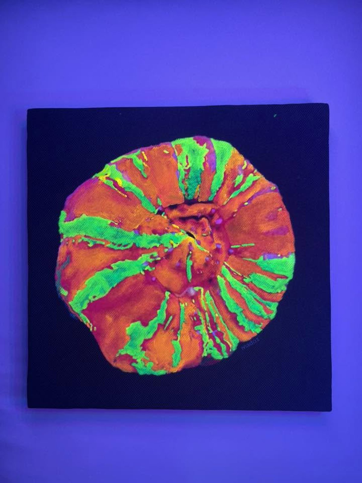Cuadro Scolly Orange