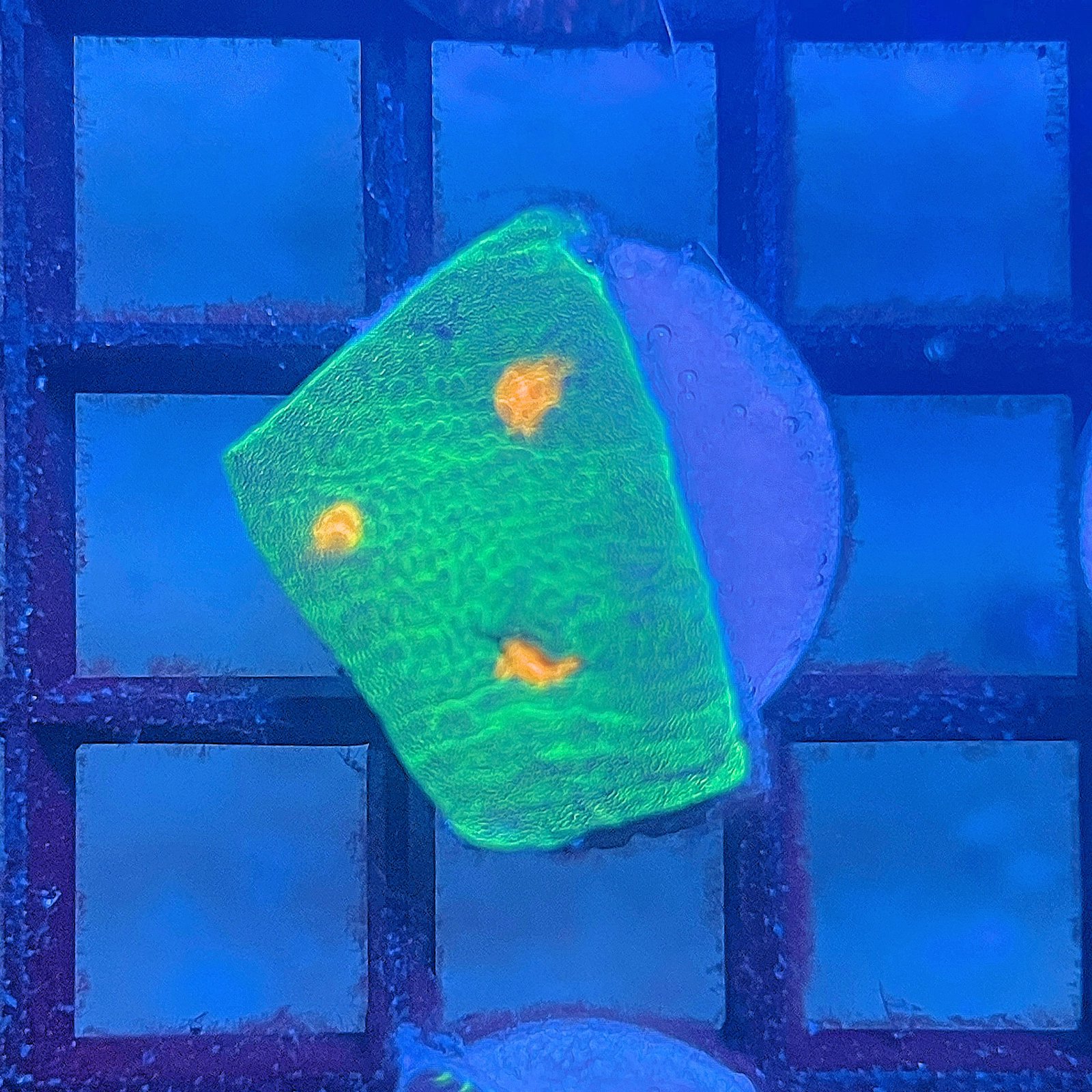 Space Invader Chalice